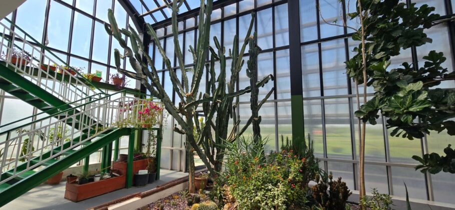 sera exotica ploiesti
