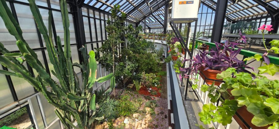 sera exotica ploiesti
