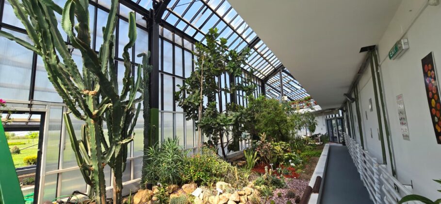 sera exotica ploiesti