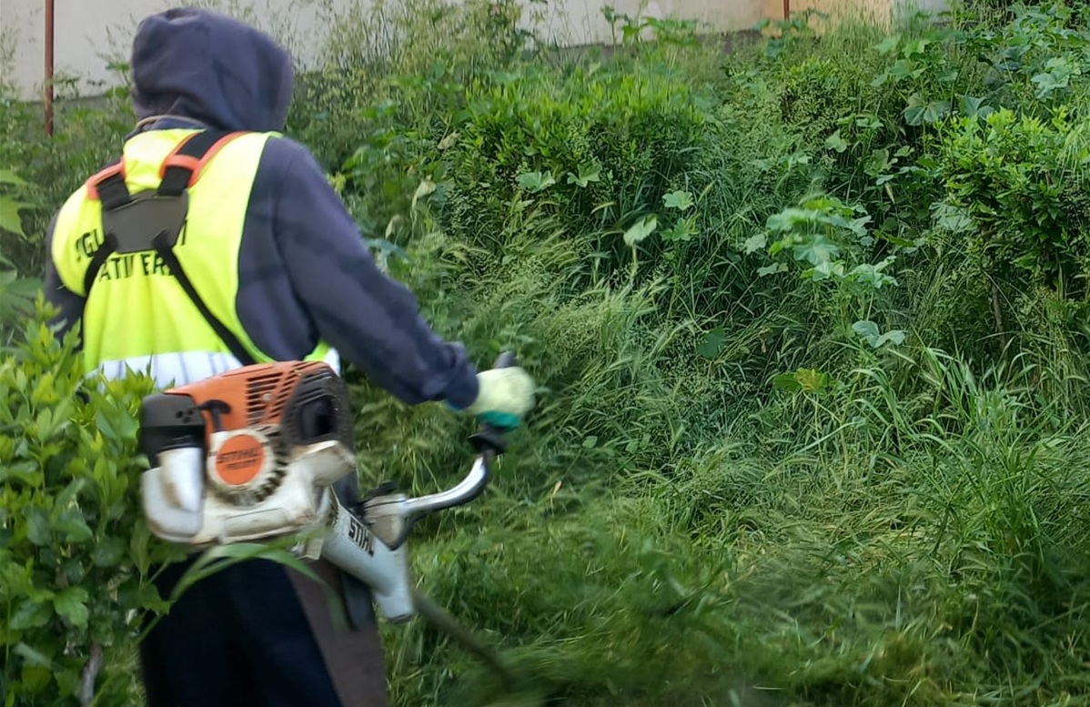 cosire iarbă