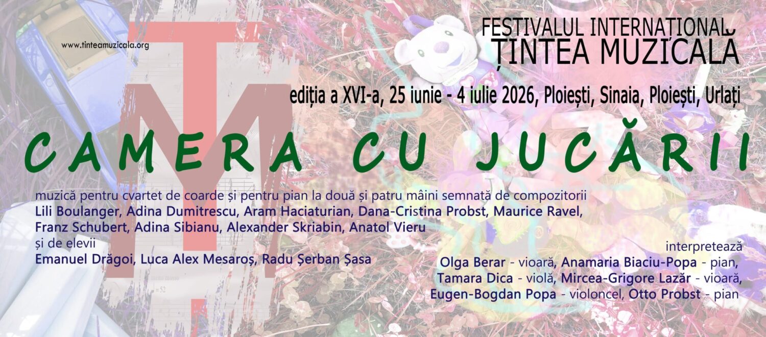 tintea muzicala camera cu jucarii