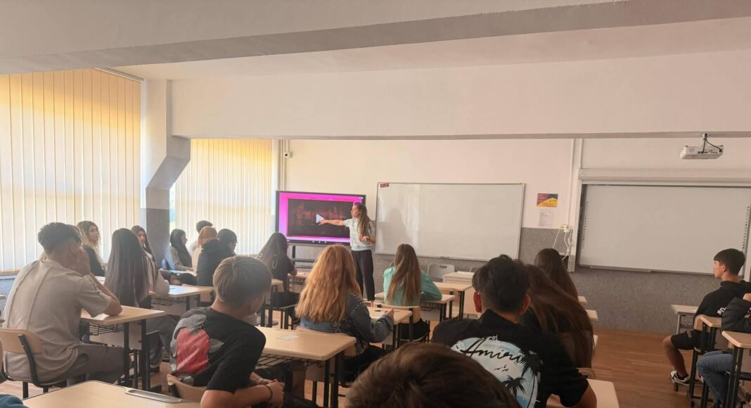 proiect absorbante eleve ploiesti