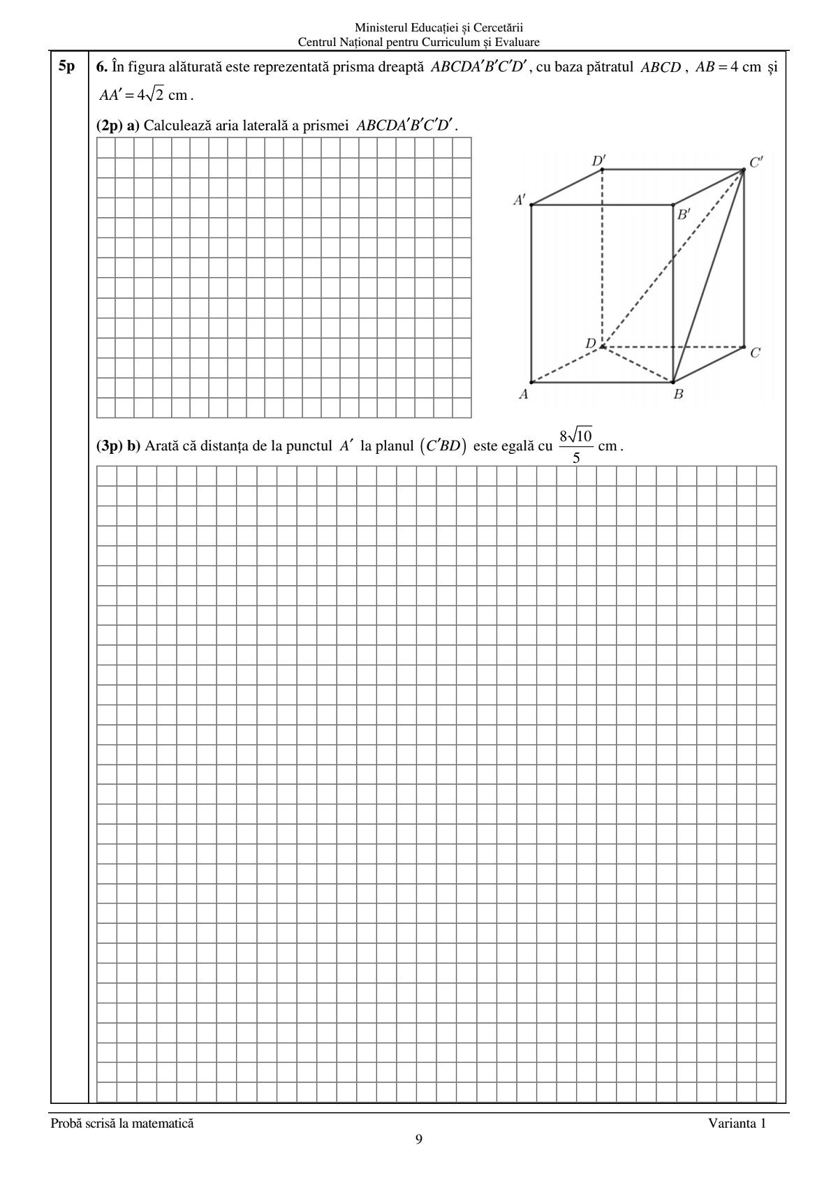 subiecte matematica