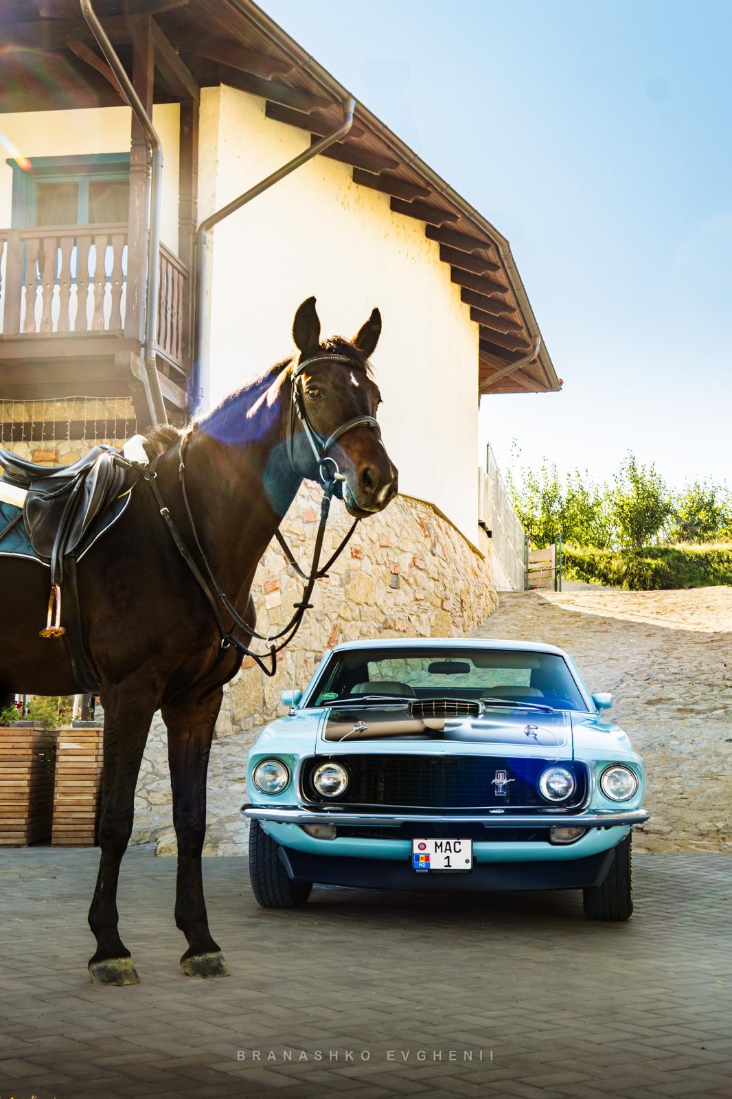 mustang si cal