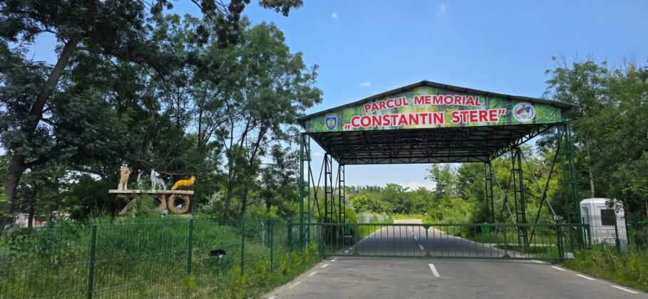 canicula animale zoo