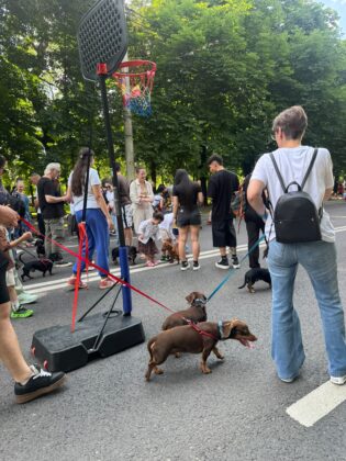 parada teckelilor ploiesti