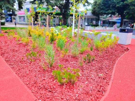parc modern ploiesti deschis