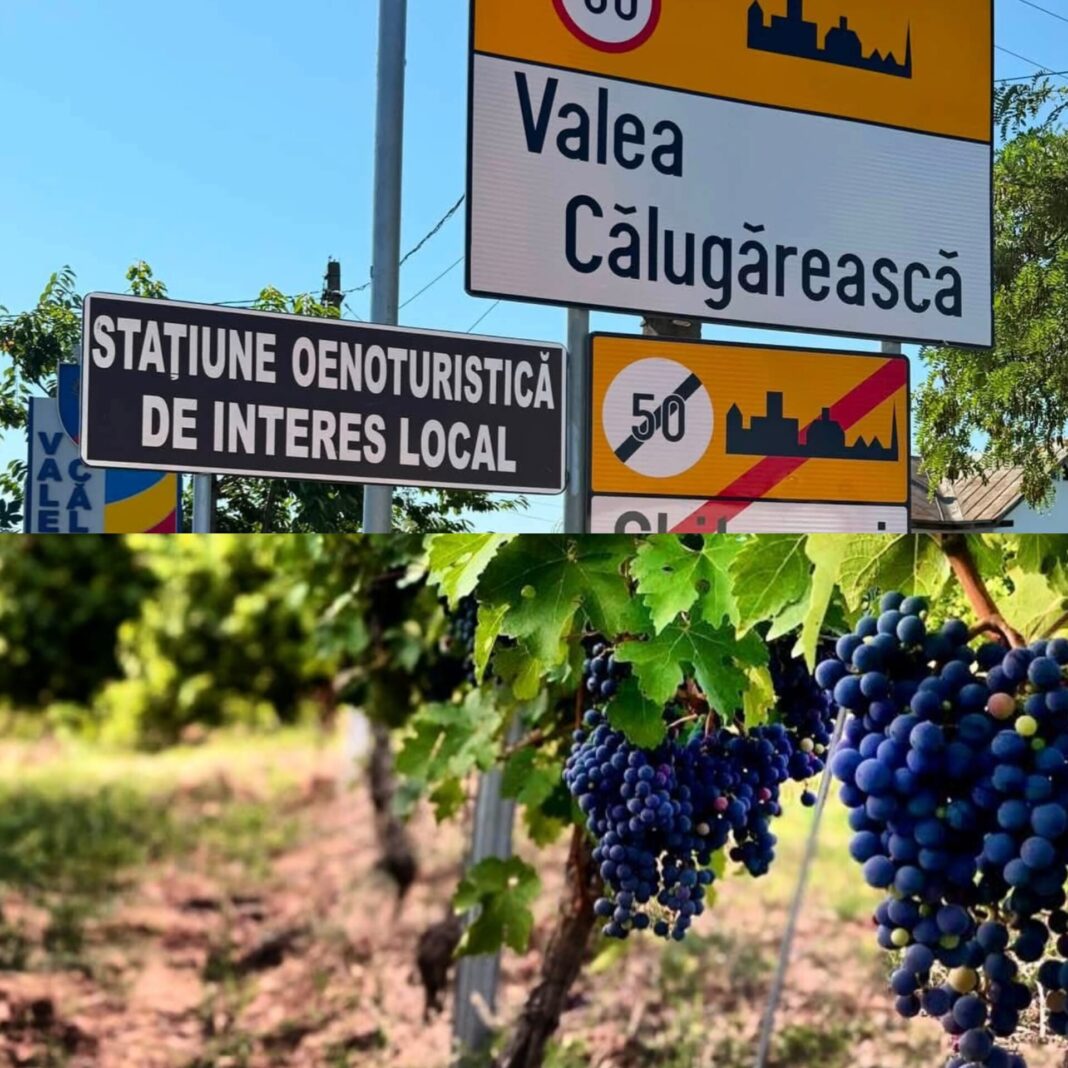 Valea Călugărească devine stațiune oenoturistică. Ce avantaje aduce noul statut pentru crame și locuitori [VIDEO]