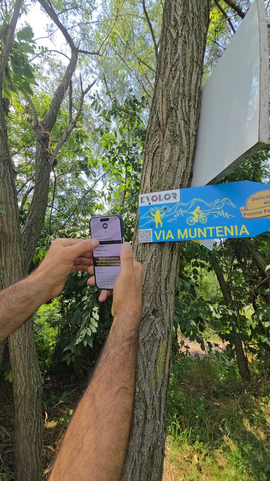 via muntenia