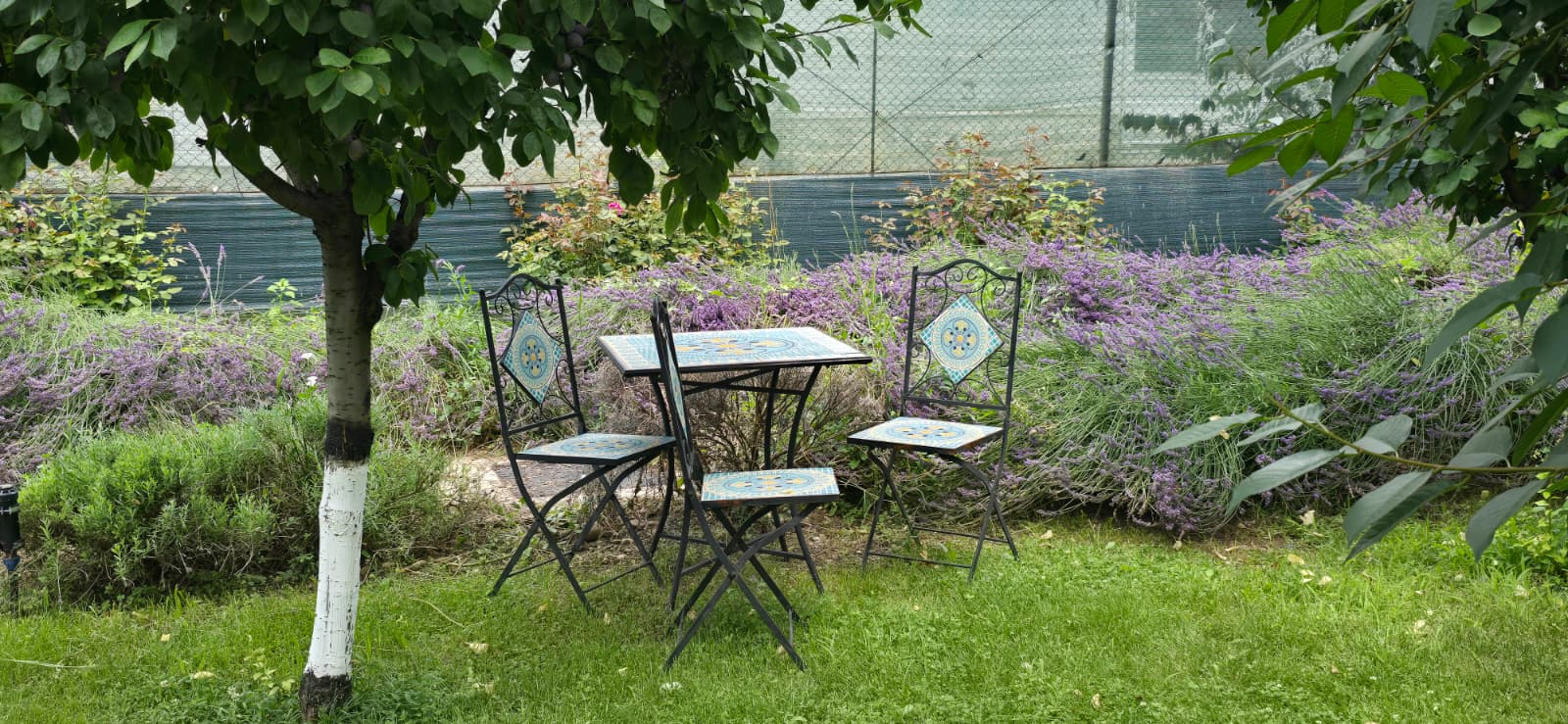 rarisimo garden