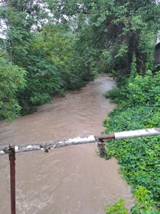dambu apa mare