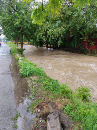 dambu apa mare