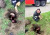 Un câine a fost scos astăzi dintr-o groapă, la Slănic. Trei animale salvate în două zile de pompierii prahoveni