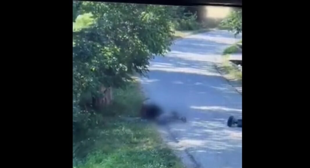 imagini copii trotinetă