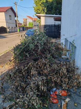 gunoi abandonat strada