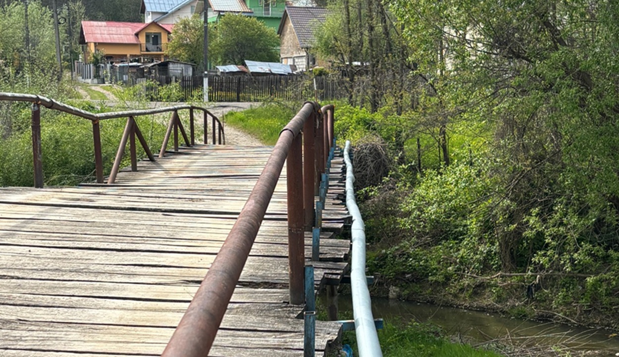 pod Șoimari