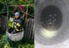 Pisică salvată de pompieri dintr-o fântână adâncă de 15 metri, în Prahova. Intervenție contracronometru la Perșunari
