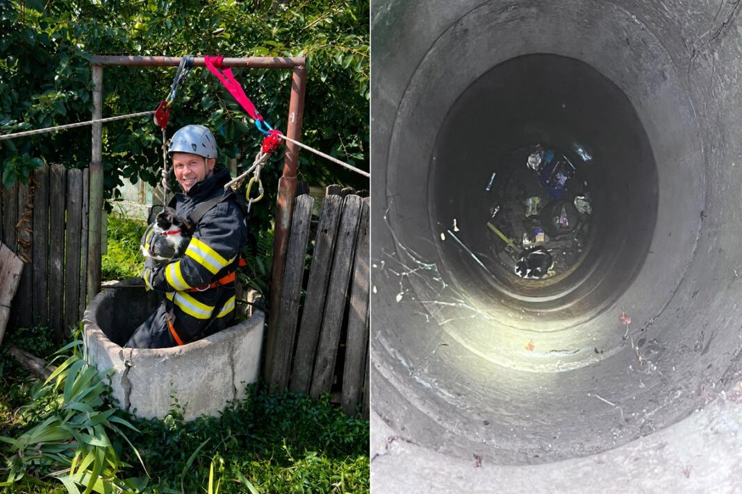 Pisică salvată de pompieri dintr-o fântână adâncă de 15 metri, în Prahova. Intervenție contracronometru la Perșunari