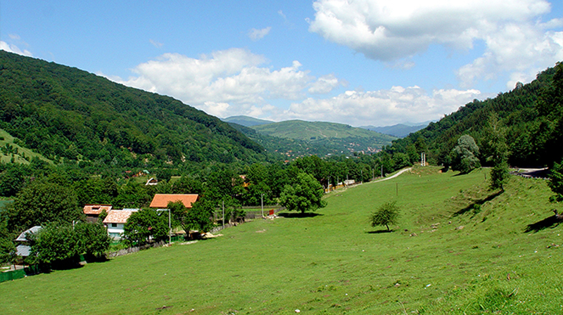 valea doftanei